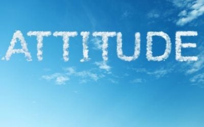 Attitude